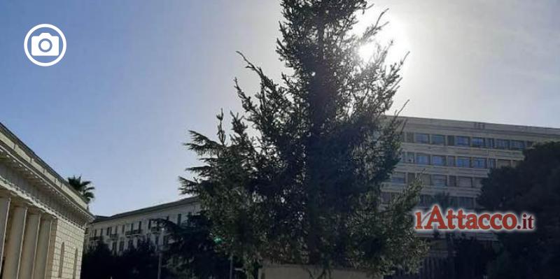 Anche a Foggia l’albero di Natale diventa ‘Spelacchio’, l’ironia (e la rabbia) corre sui social