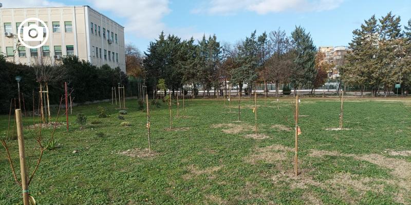 Il Liceo Scientifico “A. Volta” di Foggia sempre più scuola green