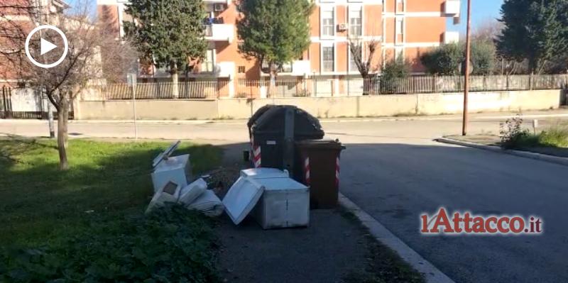 Raccolta differenziata della frazione umida, come sta andando a Foggia?