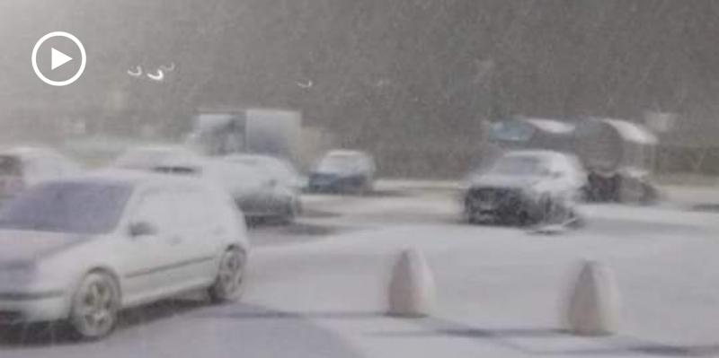 Neve sui Monti Dauni, fiocchi sul Gargano: scuole chiuse e mezzi in azione