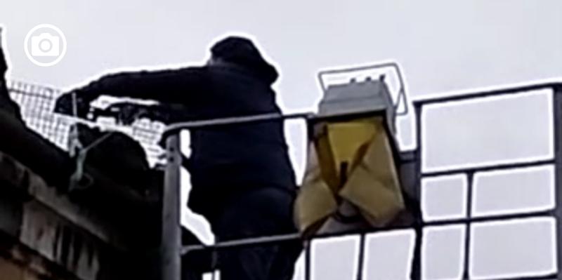 Carpino, salvato gatto su terrazza pericolante