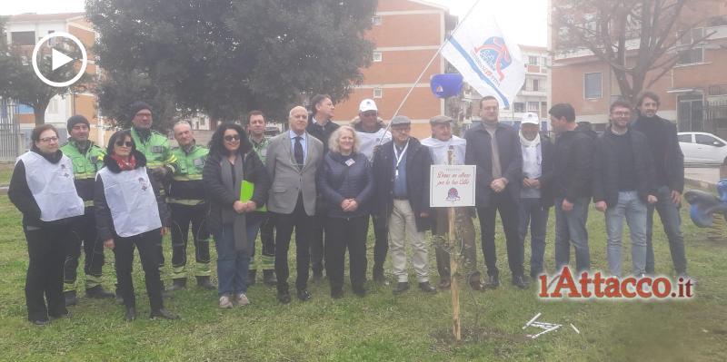 Comune di Cerignola, CittadinanzAttiva e Arif insieme per l’ambiente: piantati 20 nuovi lecci 