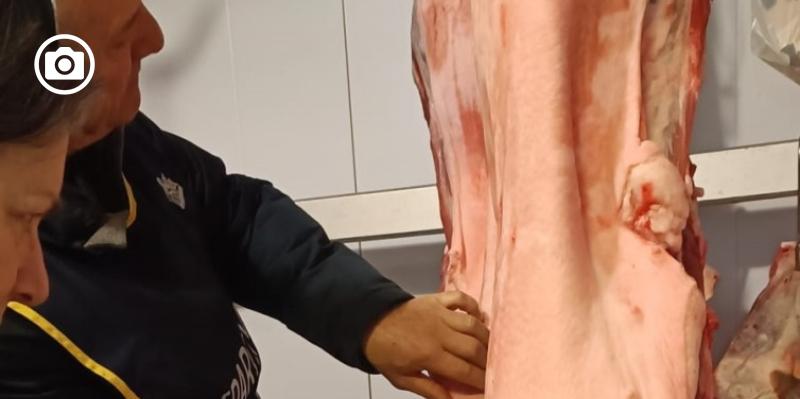 Trichinosi, i casi di infezione a San Marco in Lamis sarebbero 10: derivano forse da consumo di carne di cinghiale