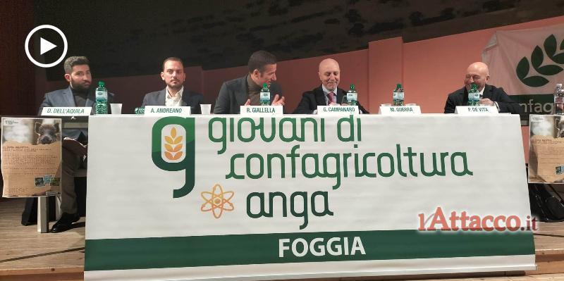 Lupi e cinghiali massacrano agricoltura e allevamento, Presto disciplinare per “contenimento controllato”