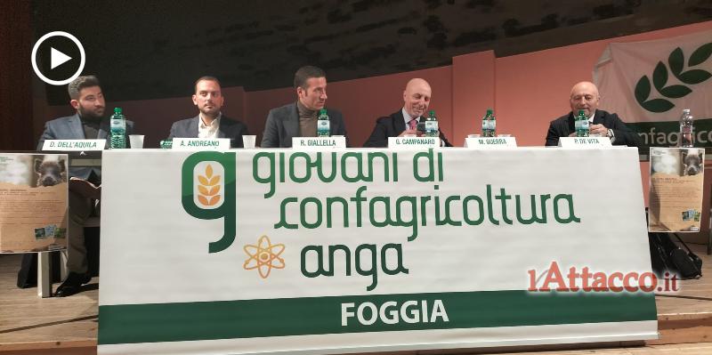 Fauna selvatica, incontro a Pietramontecorvino con gli esponenti di Confagricoltura: assente Pentassuglia