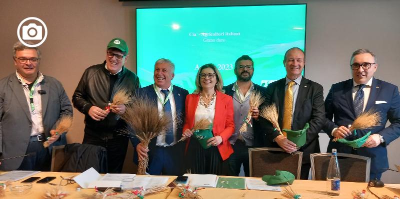 “Salvare il grano italiano”, campagna nazionale e petizione di Cia Puglia (con adesione dei parlamentari)