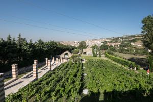 Nuova_Sala_Paradiso_suite-4