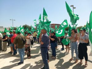 grano_manifestazione_0886