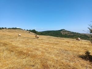 habitat_coltivati_distrutti_1_2